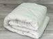 Dia bella Aloe vera 155х215см. Полуторна ковдра з Polyester наповнювачем. 5634 фото 2