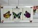 Merzuka butterfly Махрові рушники 30х50см., 3шт. 5806 фото 1